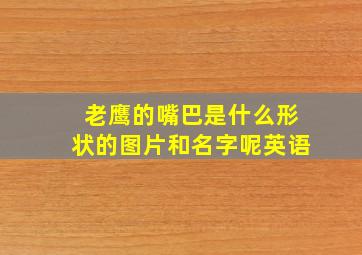 老鹰的嘴巴是什么形状的图片和名字呢英语