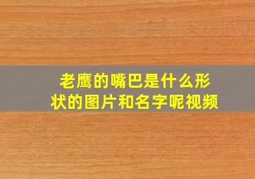 老鹰的嘴巴是什么形状的图片和名字呢视频