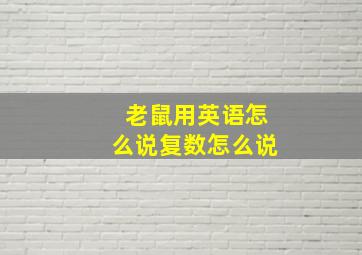 老鼠用英语怎么说复数怎么说