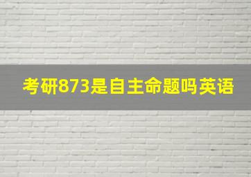 考研873是自主命题吗英语