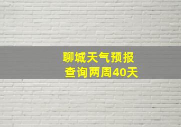 聊城天气预报查询两周40天