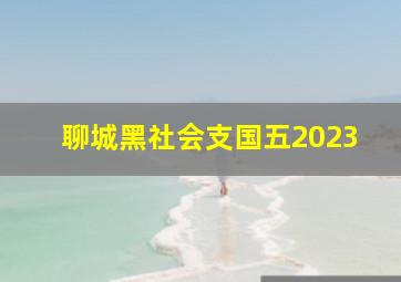 聊城黑社会支国五2023