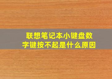 联想笔记本小键盘数字键按不起是什么原因