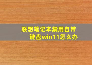 联想笔记本禁用自带键盘win11怎么办