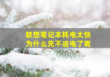 联想笔记本耗电太快为什么充不进电了呢