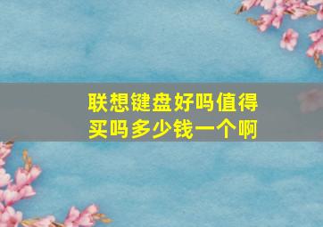 联想键盘好吗值得买吗多少钱一个啊