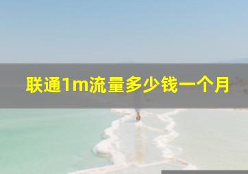 联通1m流量多少钱一个月