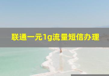 联通一元1g流量短信办理