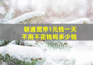 联通宽带1元钱一天不用不花钱吗多少钱