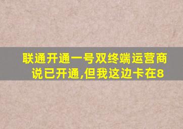 联通开通一号双终端运营商说已开通,但我这边卡在8