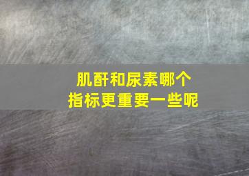 肌酐和尿素哪个指标更重要一些呢