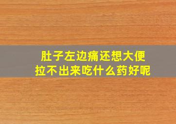 肚子左边痛还想大便拉不出来吃什么药好呢