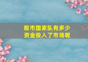 股市国家队有多少资金投入了市场呢