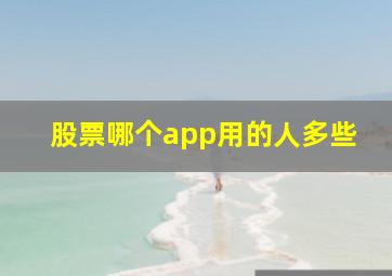 股票哪个app用的人多些