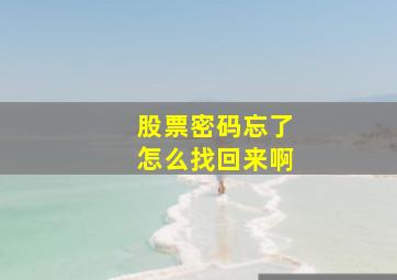 股票密码忘了怎么找回来啊