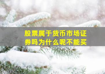 股票属于货币市场证券吗为什么呢不能买