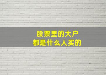 股票里的大户都是什么人买的