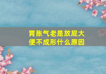 胃胀气老是放屁大便不成形什么原因