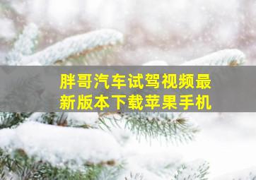 胖哥汽车试驾视频最新版本下载苹果手机