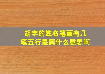 胡字的姓名笔画有几笔五行是属什么意思啊