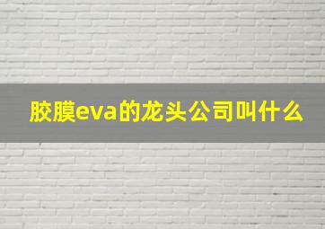 胶膜eva的龙头公司叫什么