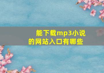 能下载mp3小说的网站入口有哪些