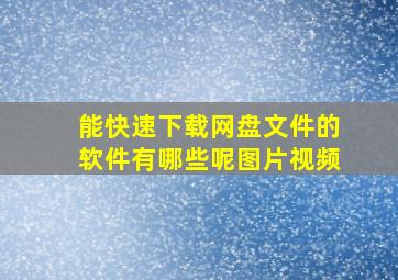 能快速下载网盘文件的软件有哪些呢图片视频