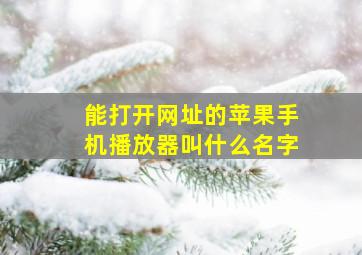 能打开网址的苹果手机播放器叫什么名字