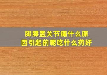 脚膝盖关节痛什么原因引起的呢吃什么药好