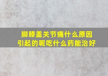 脚膝盖关节痛什么原因引起的呢吃什么药能治好