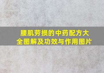 腰肌劳损的中药配方大全图解及功效与作用图片