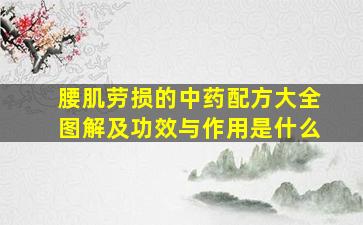 腰肌劳损的中药配方大全图解及功效与作用是什么