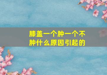 膝盖一个肿一个不肿什么原因引起的