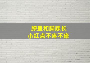 膝盖和脚踝长小红点不疼不痒