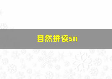 自然拼读sn