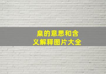 臬的意思和含义解释图片大全