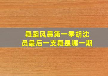 舞蹈风暴第一季胡沈员最后一支舞是哪一期