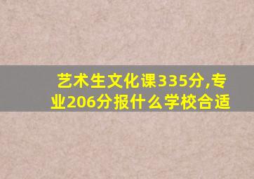 艺术生文化课335分,专业206分报什么学校合适