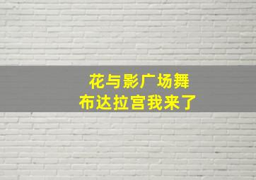 花与影广场舞布达拉宫我来了