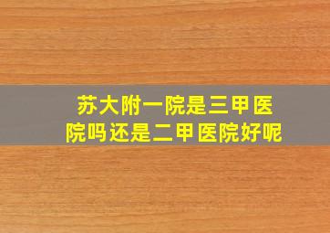 苏大附一院是三甲医院吗还是二甲医院好呢