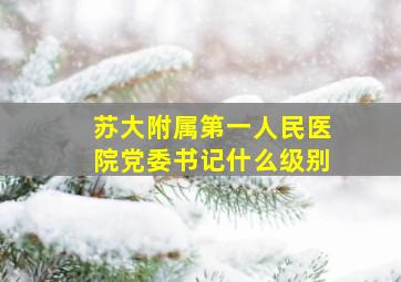 苏大附属第一人民医院党委书记什么级别