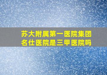 苏大附属第一医院集团名仕医院是三甲医院吗