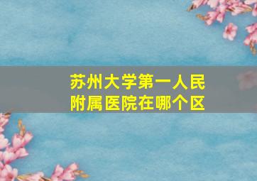 苏州大学第一人民附属医院在哪个区