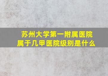 苏州大学第一附属医院属于几甲医院级别是什么