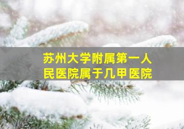 苏州大学附属第一人民医院属于几甲医院