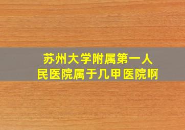 苏州大学附属第一人民医院属于几甲医院啊