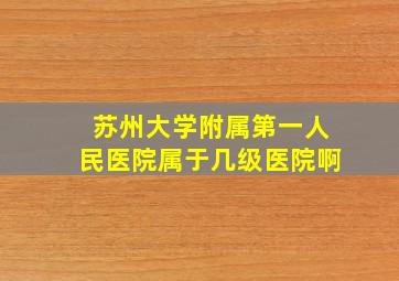 苏州大学附属第一人民医院属于几级医院啊