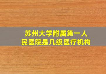 苏州大学附属第一人民医院是几级医疗机构