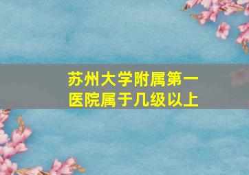 苏州大学附属第一医院属于几级以上