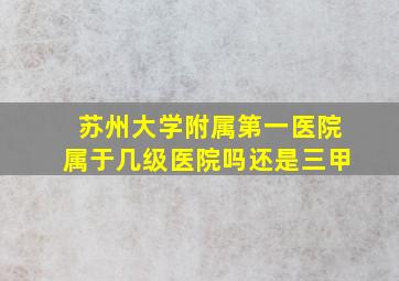 苏州大学附属第一医院属于几级医院吗还是三甲